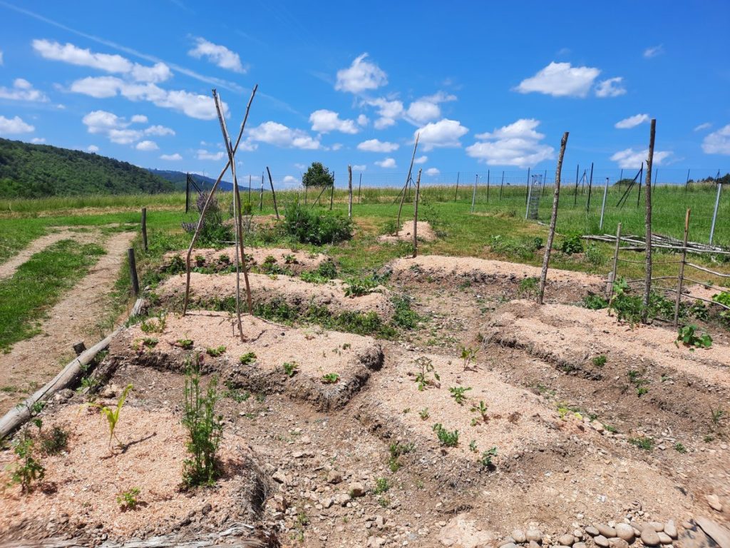 photos personnelles : potager début juin 2024, et la mare toute neuve
