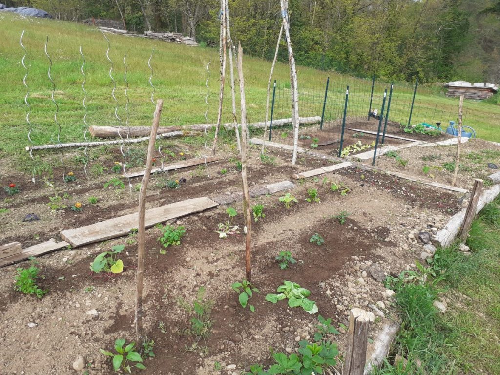 photos personnelles : évolution de mon potager entre mai 2021 et mai 2023. 