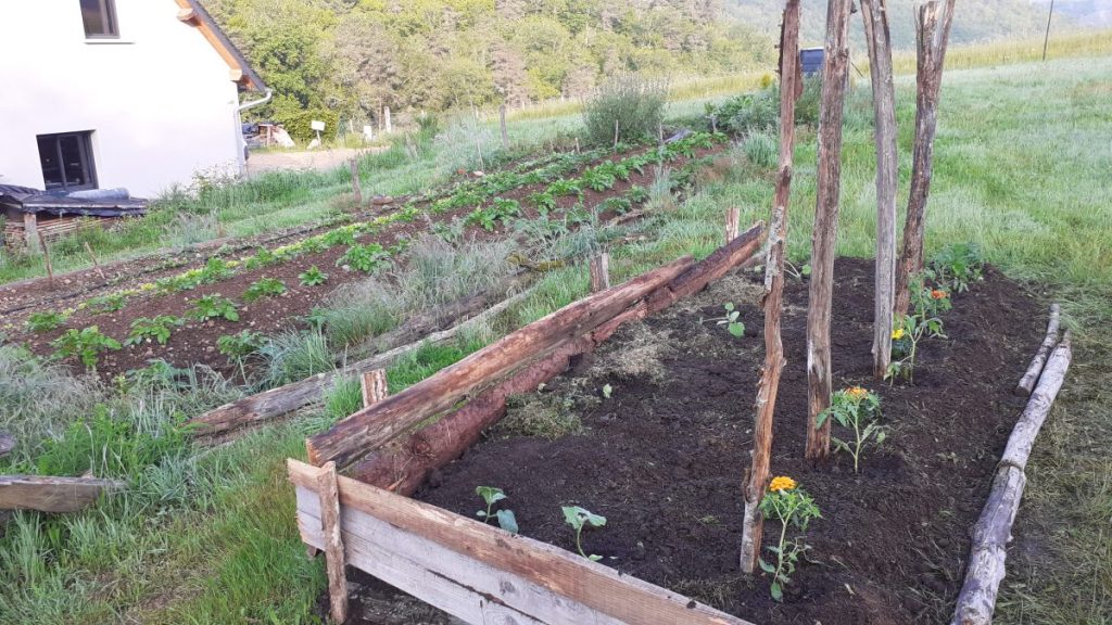 photos personnelles : évolution de mon potager entre mai 2021 et mai 2023. 