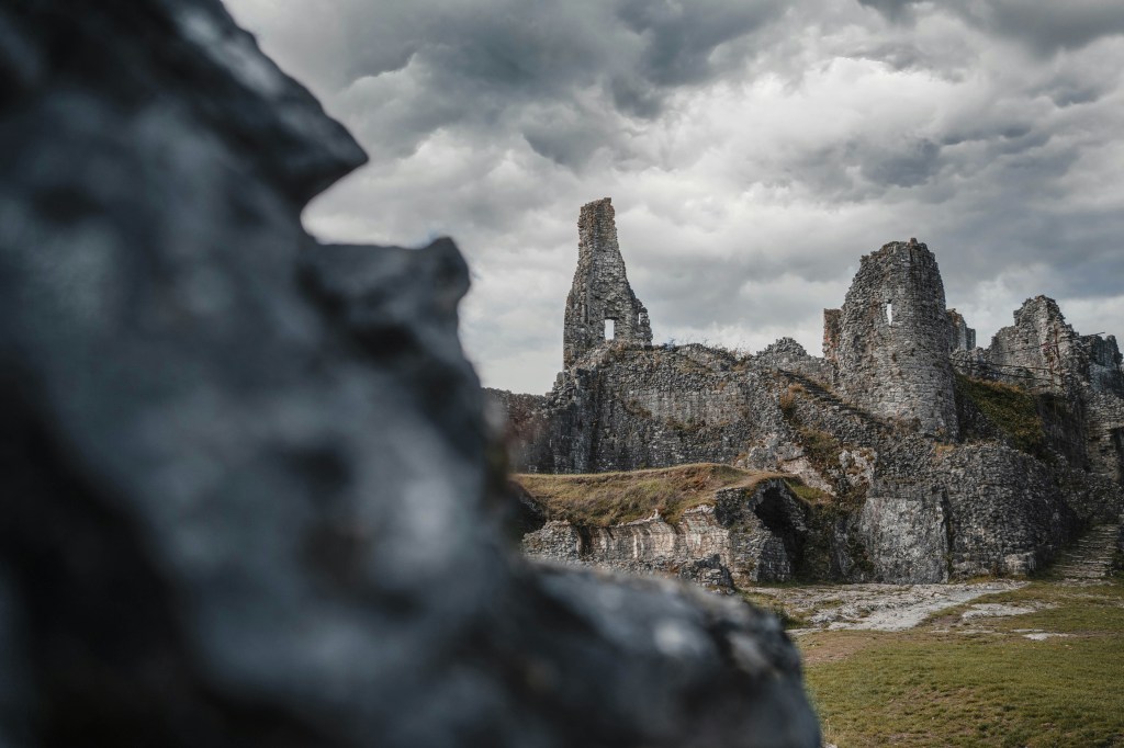 Photo de Nathan Paternotte sur Unsplash
      