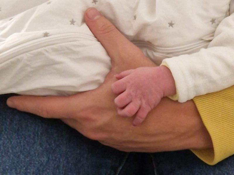 La naissance d&rsquo;un&nbsp;Lutin