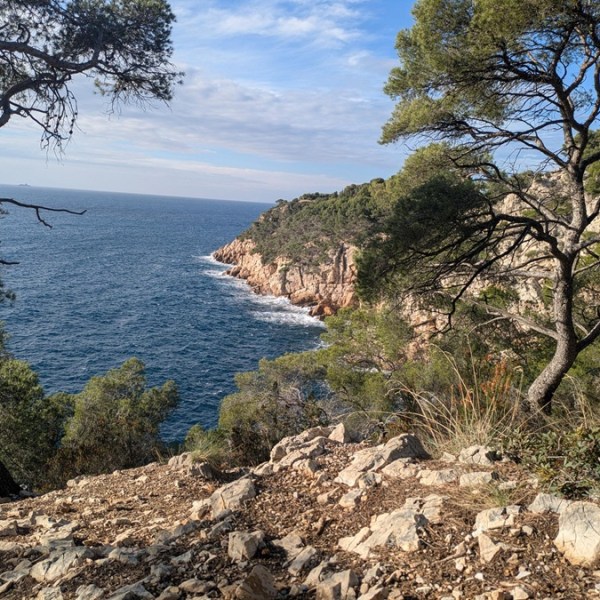 Quatre mois pour se dire adieu&nbsp;(4)