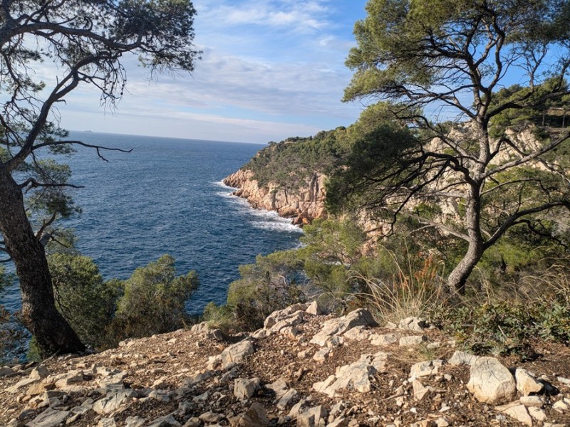 Quatre mois pour se dire adieu&nbsp;(4)