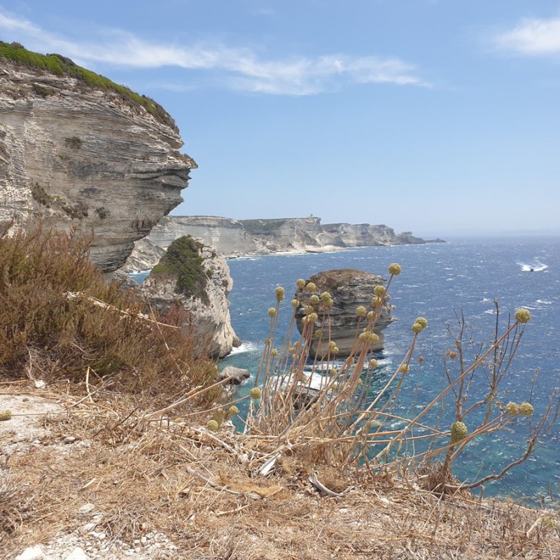 Et alors, c&rsquo;est vraiment beau l&rsquo;île de Beauté&nbsp;?